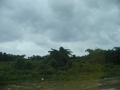 Jamaica06 (592)